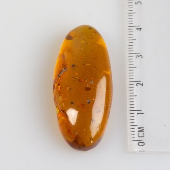 Ambra con fossile insetto | 1,6 x 0,9 x 0,5 cm, 0,66 g