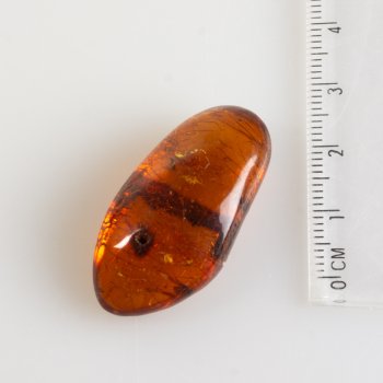 Ambra con fossile insetto | 2,6 x 1,8 x 0,8 cm, 2,19 g