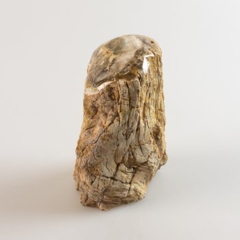 Tronco Legno fossile, semilucidato | 8,5 x 6 x 13 cm, 0,94 kg