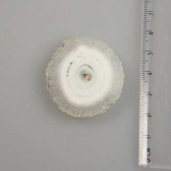 Fetta Stalattite, Fiore di Quarzo | 2,5 - 3 cm