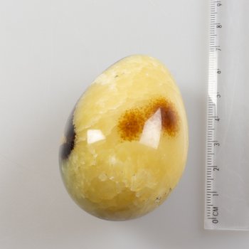 Uovo di Septaria | 6 x 4,3 cm 0,180 kg