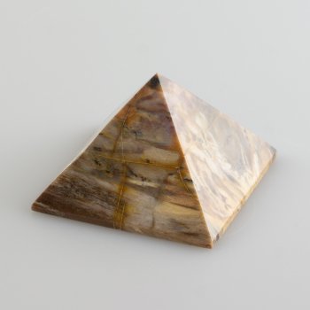 Piramide di Legno fossile | 5,2x5,2x3,5 cm 0,095 kg
