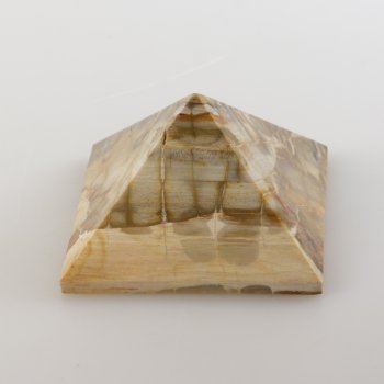 Piramide di Legno fossile | 6,5 x 3,5 cm, 0,176 kg