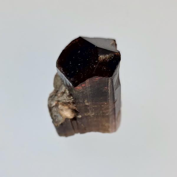Dravite, Canada | 3 x 2,2 x 3,8 cm 49 g