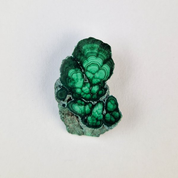 Malachite - Grezzo più parte lucidata | 1,5 - 2,5 cm