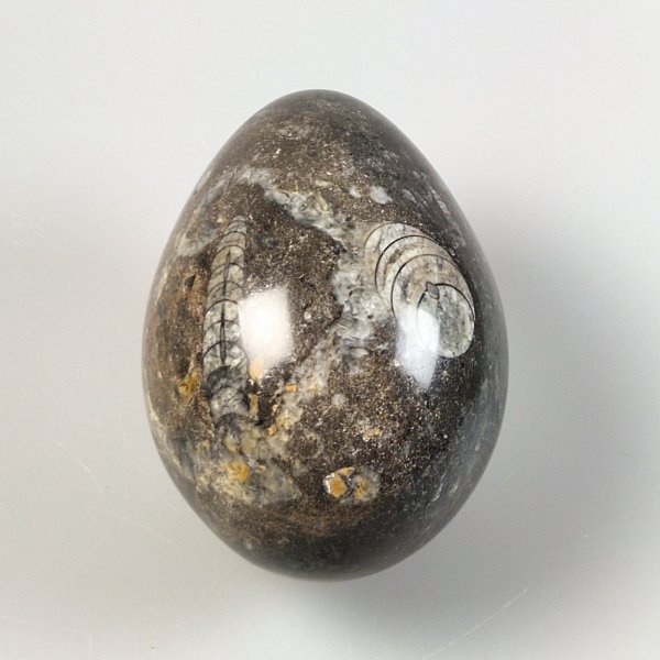 Uovo di Marmo fossile | 13 x 9 cm, 1,548 kg