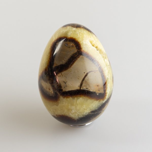Uovo di Septaria | 6 - 7 cm