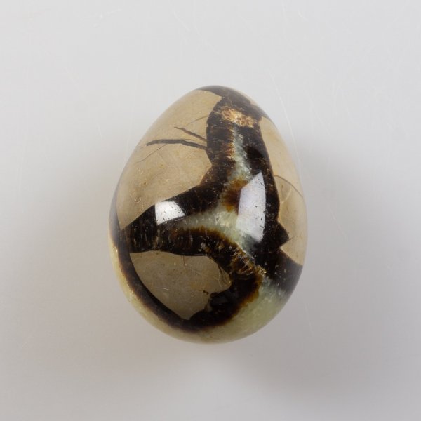 Uovo di Septaria | 6 x 4,3 cm 0,180 kg