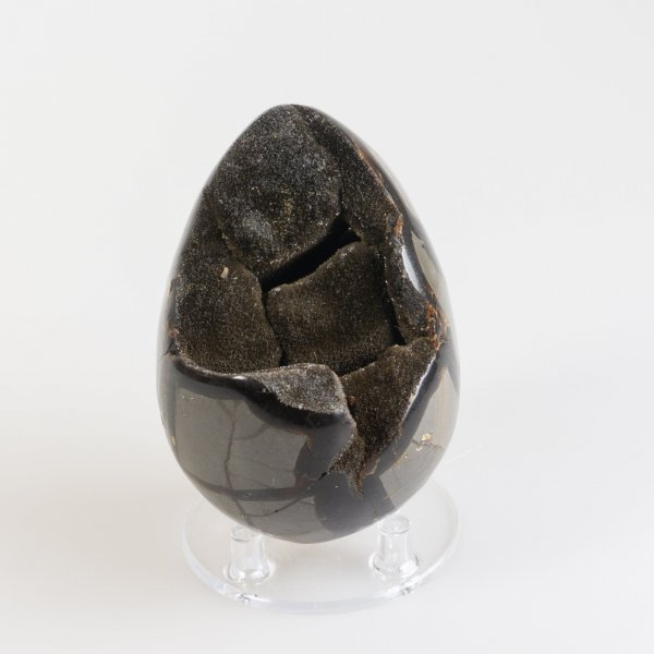 Uovo di Septaria nera | 9,5 x 6,5 cm, 0,652 kg