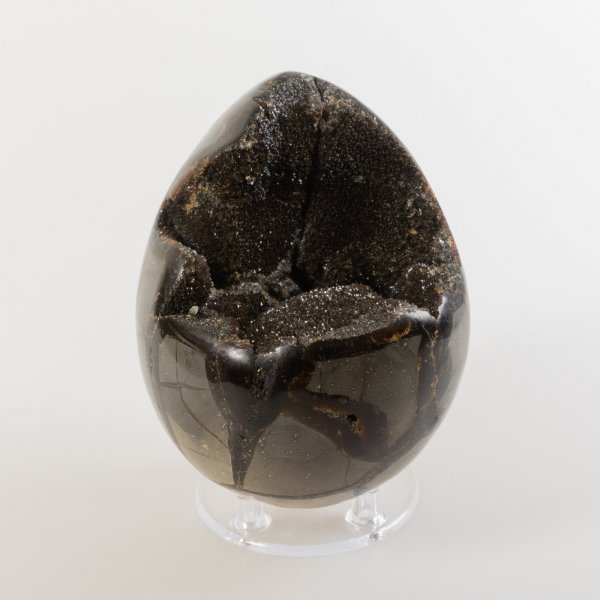 Uovo di Septaria nera | 11,5 x 8,5 cm, 1,27 kg