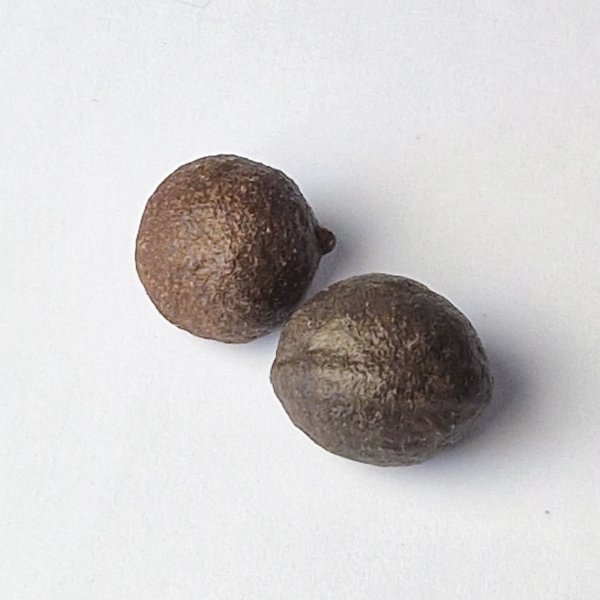 Moqui Marbles | 2 - 2,5 cm