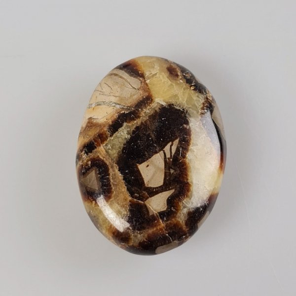 Palmstone Septaria | 6,5-7,5 cm